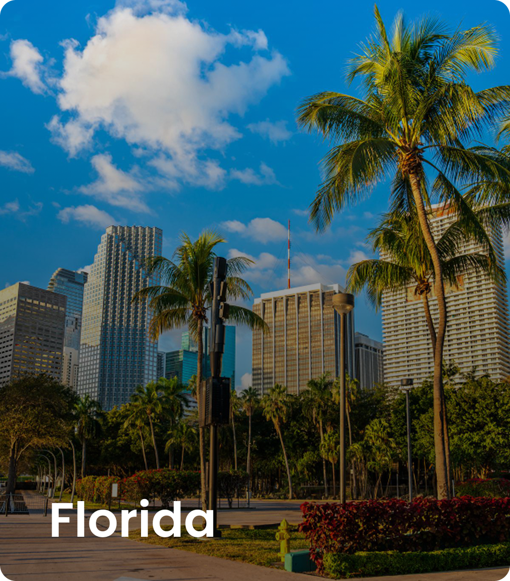 Florida city with palm trees and skyline